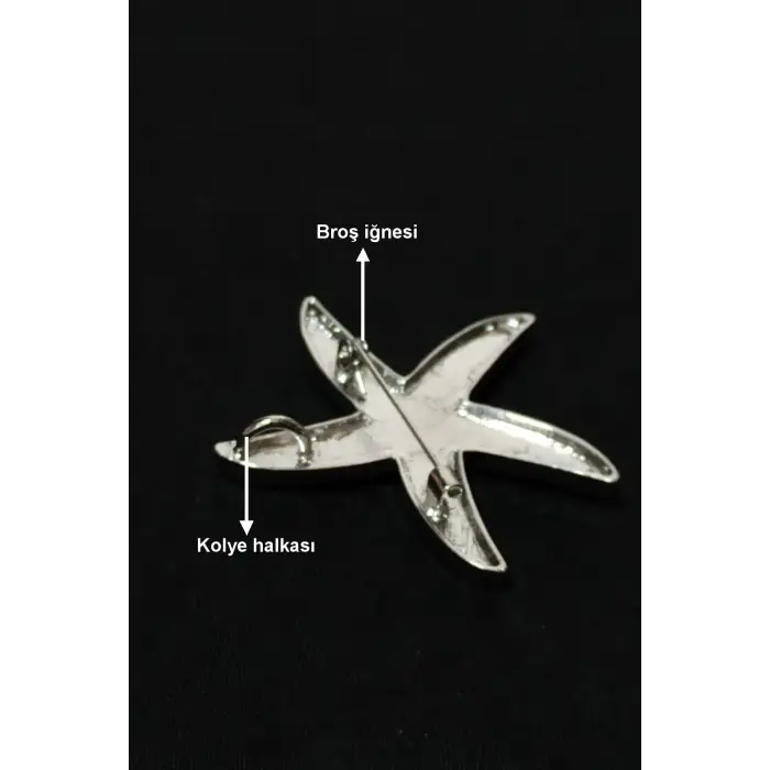 Abalon Shell Deniz Yıldızı Motifi Sedef Broş BR10-10