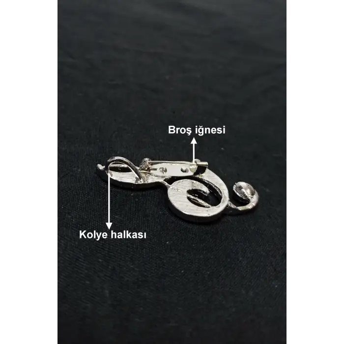 Abalon Shell Sol Anahtarı Sedef Broş BR10-1