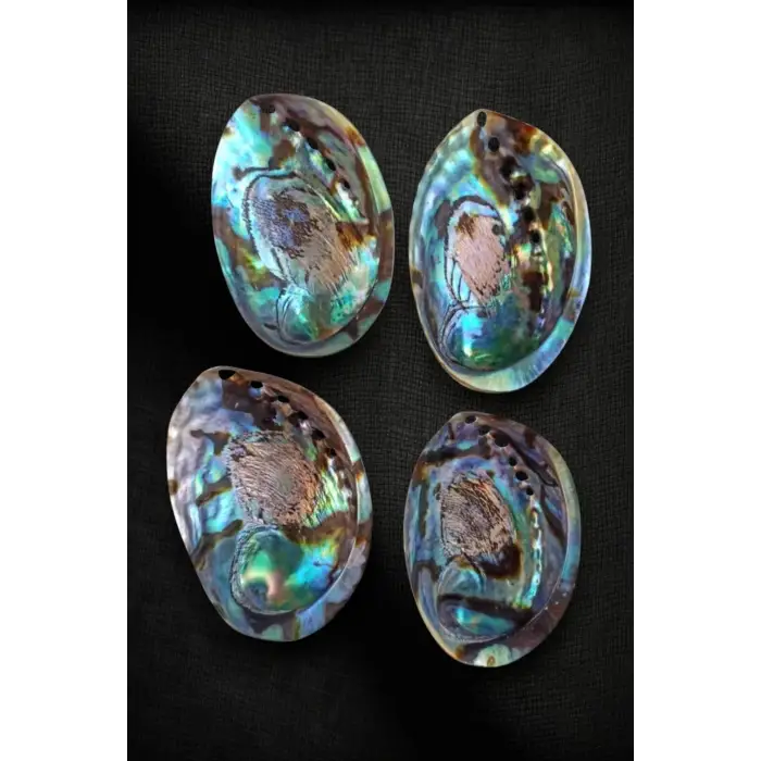 Abalone Shell Süper Renkli Istiridye Kabuğu