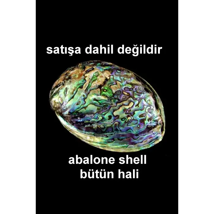 Abalone Shell Süper Renkli Sedef Bileklik 545-3