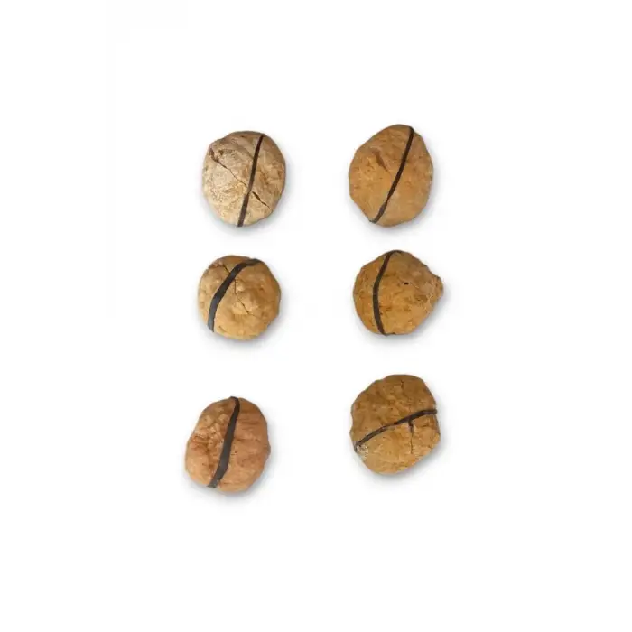 Afrika Kuvars Kristali Jeot Doğal Parça 32-KKJ