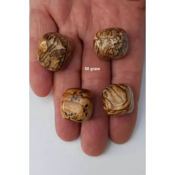 Ağaç Desenli Jasper 50 Gram Tamburlu Parçalar 547