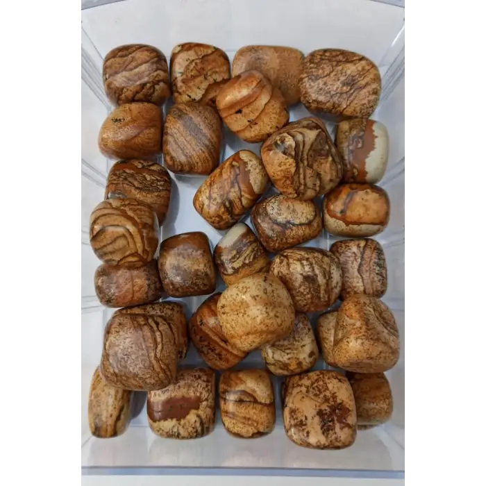 Ağaç Desenli Jasper 50 Gram Tamburlu Parçalar 547