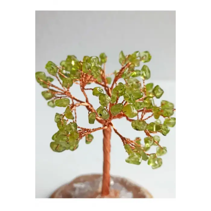 Akik Üzerinde Peridot-Zebercet Ağaç 17-PA