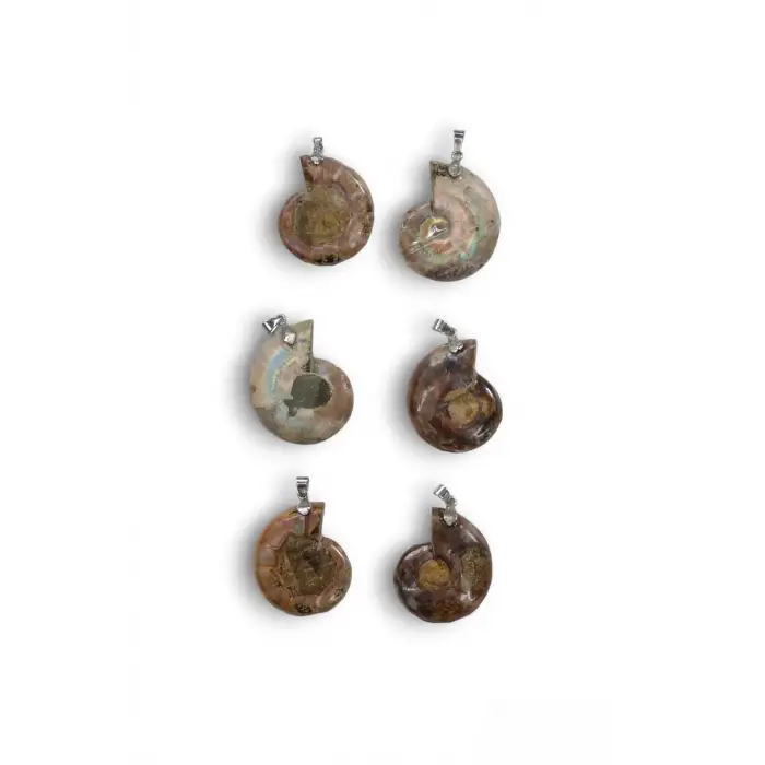 Amonit Fosili Kolye 104-4