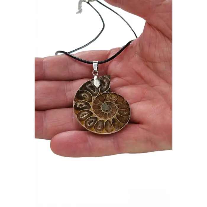 Amonit Fosili Kolye 104-4