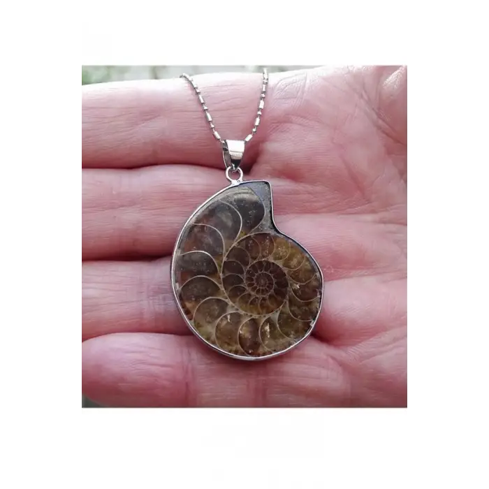 Amonit Fosili Kolye 448