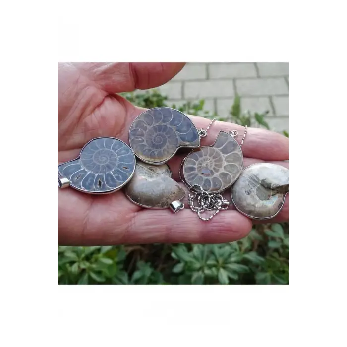 Amonit Fosili Kolye 448