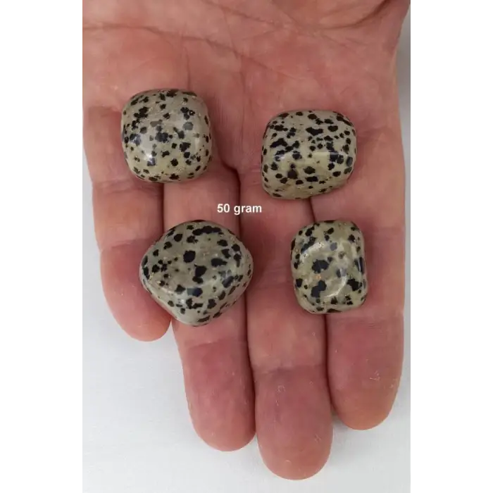 Dalmaçyalı Jasper 50 Gram Tamburlu Parçalar 225