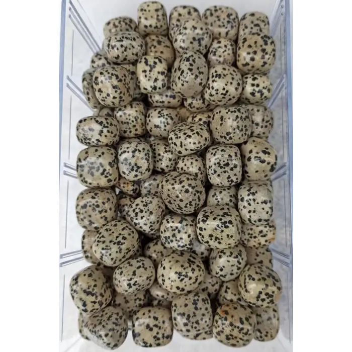 Dalmaçyalı Jasper 50 Gram Tamburlu Parçalar 225