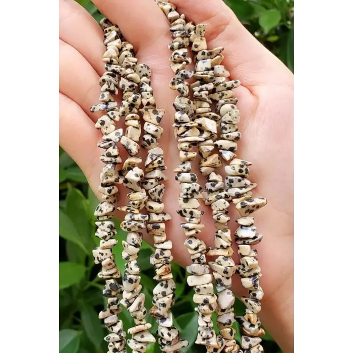 Dalmaçyalı Jasper Kırıktaş Dizi-80 cm