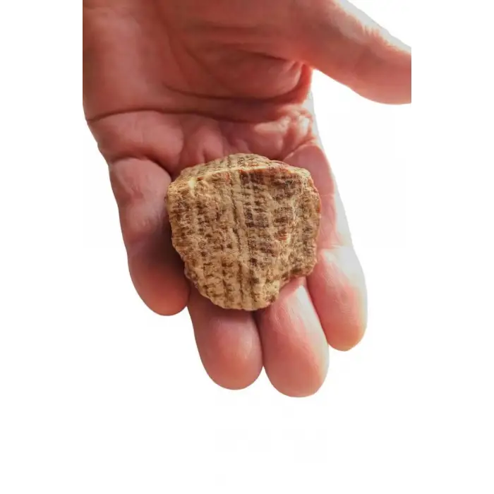 Doğal Aragonit Küçük Parça 210-1