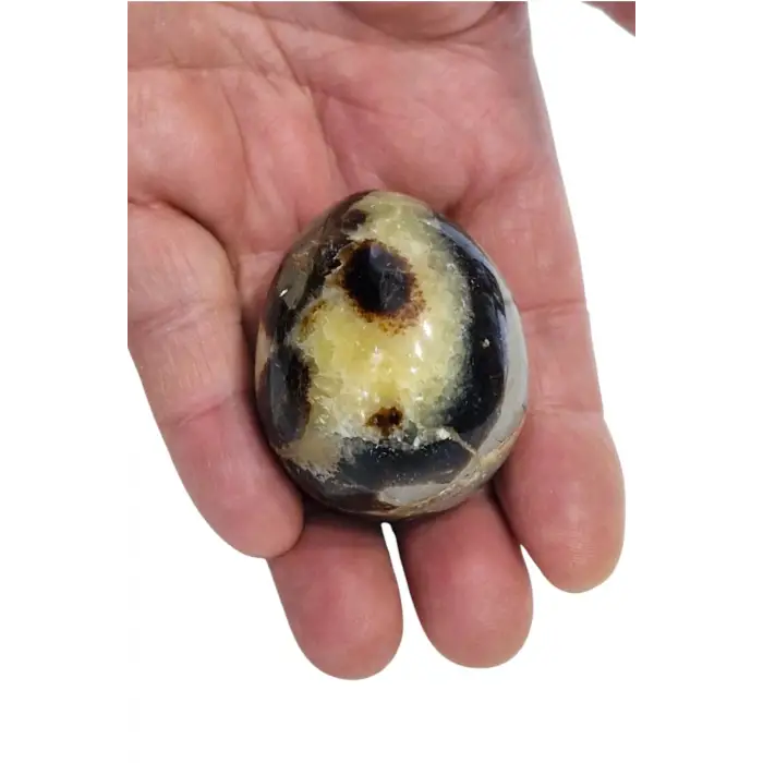 Doğal Septeryan Taşı Dekoratif Yumurta Kesim 31SY