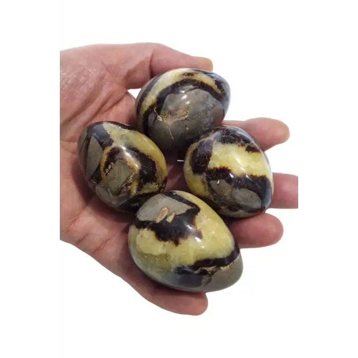 Doğal Septeryan Taşı Dekoratif Yumurta Kesim 31SY