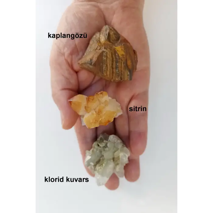 Doğal Taş Koleksiyonu, 9 Parça Bölmeli Kutuda DTK-9