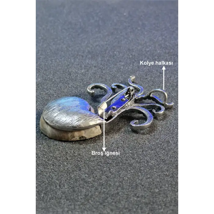 Gerçek Amonit Fosili Benzersiz Broş BR10-9