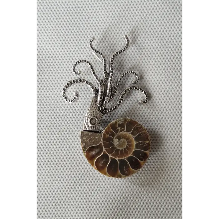 Gerçek Amonit Fosili Benzersiz Broş BR10-9