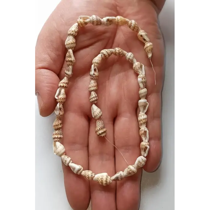 Gerçek Deniz Kabuğu Dizi - 40 cm. 132