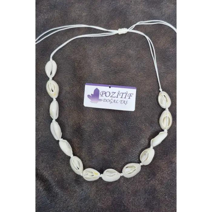 Gerçek Deniz Kabuklarından Ayarlı Kolye 211-2