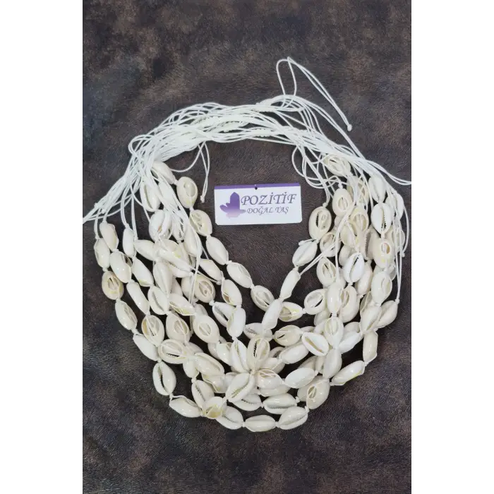 Gerçek Deniz Kabuklarından Ayarlı Kolye 211-2