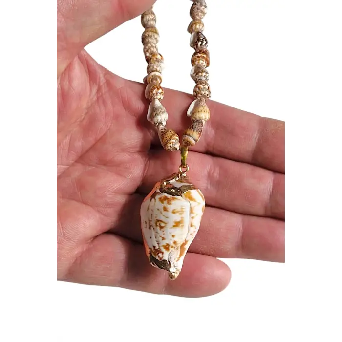 Gerçek Deniz Kabuklarından Kolye 237-2