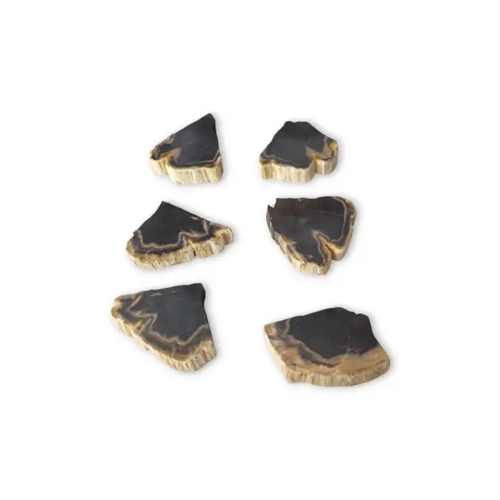 Kara Ağaç Fosili Plaka 32KA