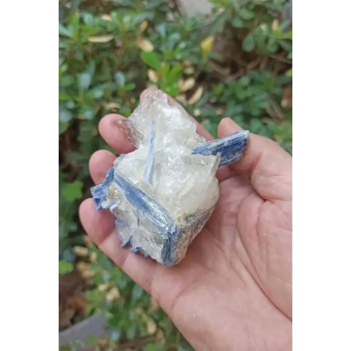 Kuvars Kristali İçinde Kyanit Koleksiyonluk Parça KY31