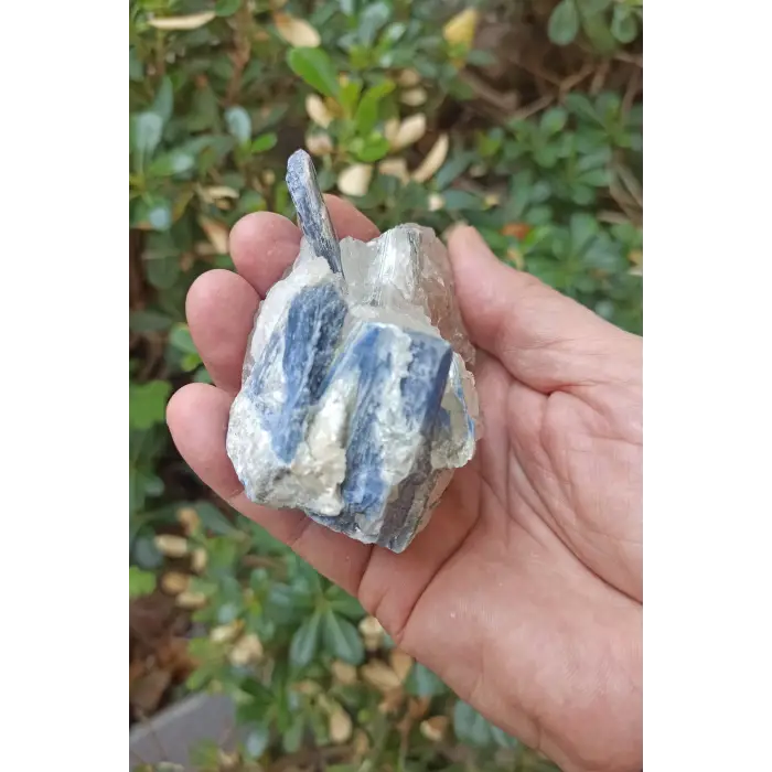 Kuvars Kristali İçinde Kyanit Koleksiyonluk Parça KY31