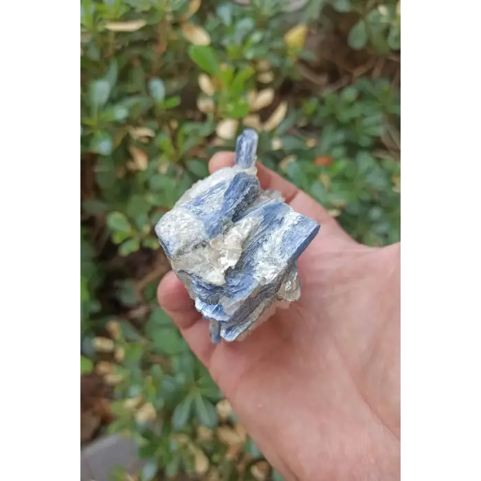 Kuvars Kristali İçinde Kyanit Koleksiyonluk Parça KY31