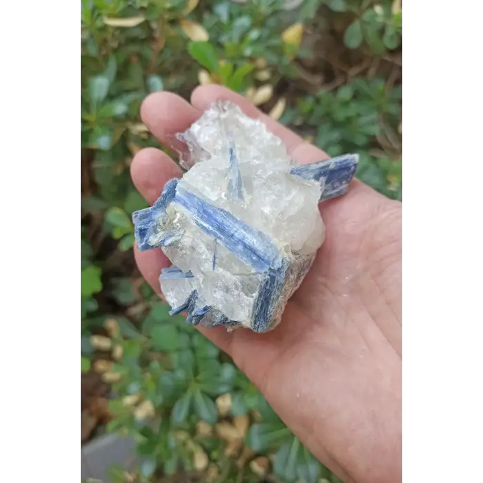 Kuvars Kristali İçinde Kyanit Koleksiyonluk Parça KY31