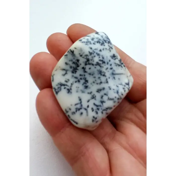 Merlinit Dendritli Opal Tamburlu Parça 133