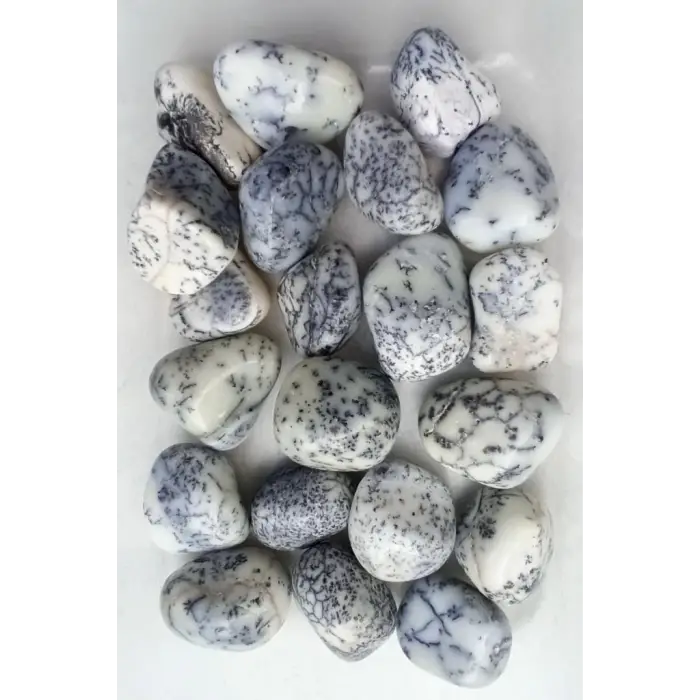 Merlinit Dendritli Opal Tamburlu Parça 133