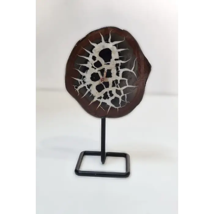 Ortadan Kesilmiş Siyah Septeryan Dekoratif Parça 31SS