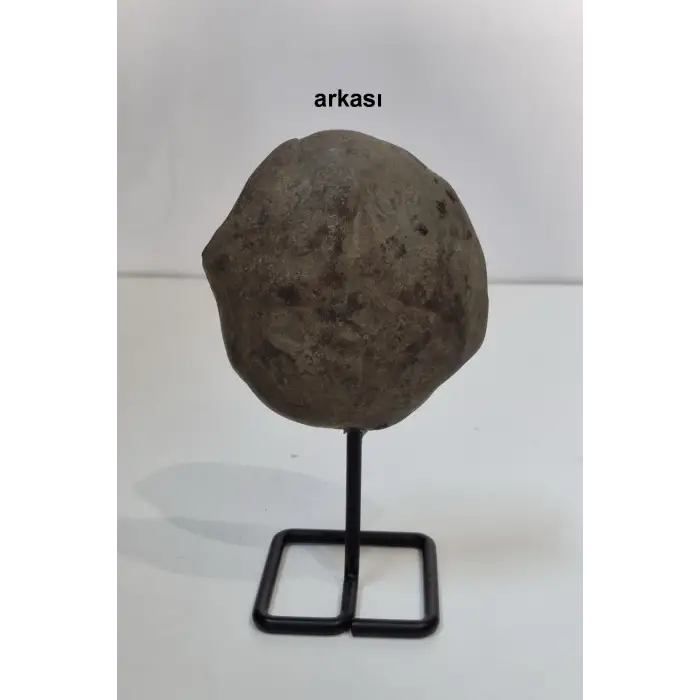 Ortadan Kesilmiş Siyah Septeryan Dekoratif Parça 31SS