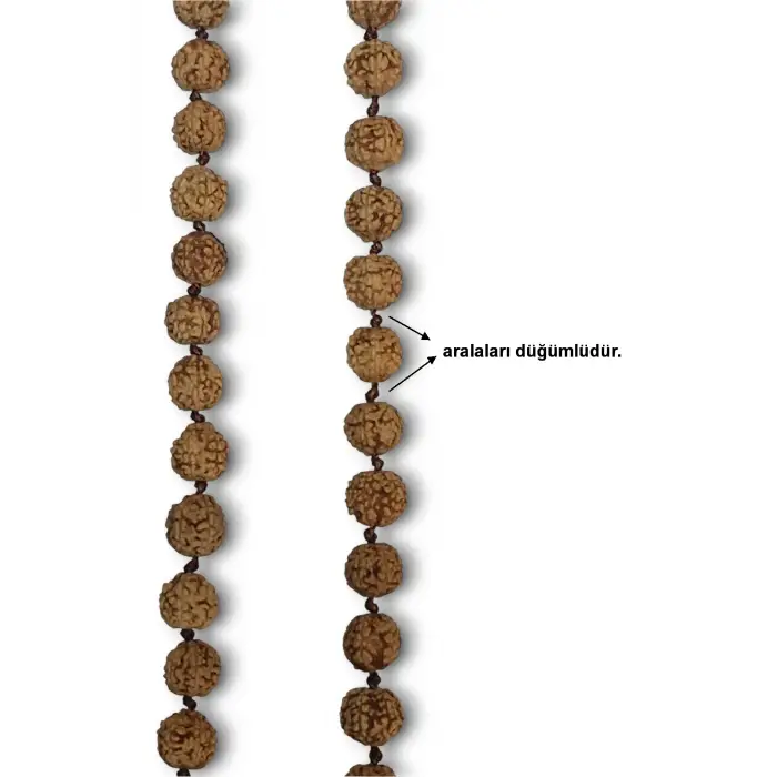Rudrakşa 108 Taneli Mala Tesbih-Kolye Hindistan Rudraksha 207