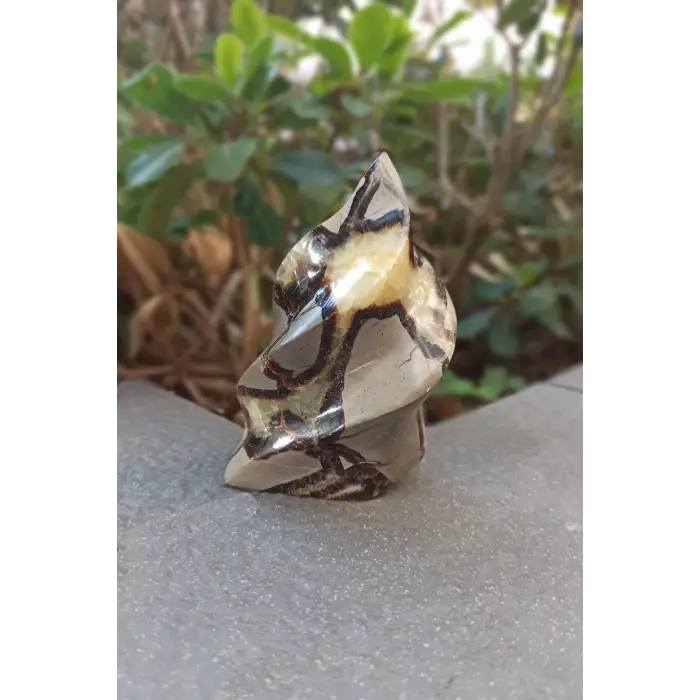 Septeryan Taşı Dekoratif Parça DS31