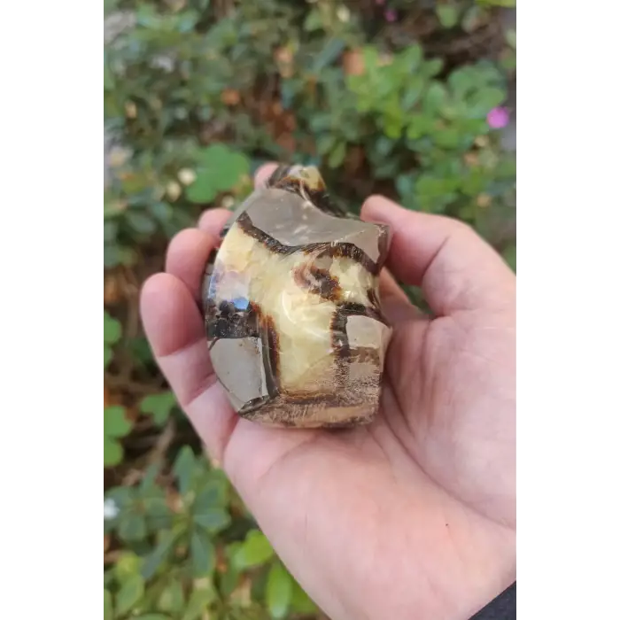 Septeryan Taşı Dekoratif Parça DS31