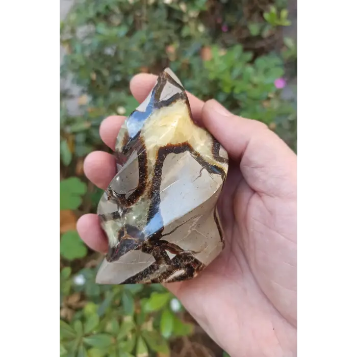 Septeryan Taşı Dekoratif Parça DS31