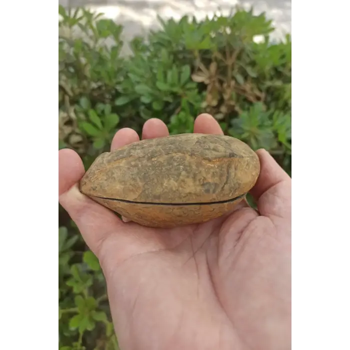 Siyah Septeryan Ortadan Kesilmiş Nodül Koleksiyonluk Parça 31SS