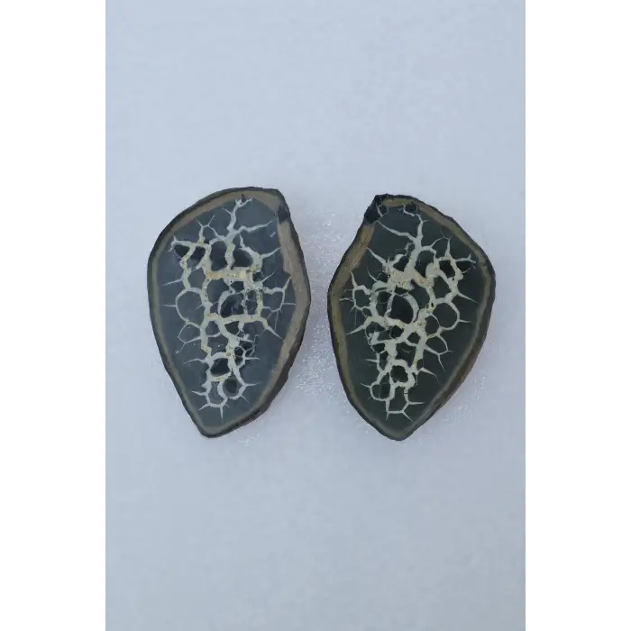 Siyah Septeryan Ortadan Kesilmiş Nodül Koleksiyonluk Parça 31SS