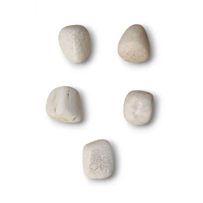 Skolite - Scolecite Tamburlu Parça 119-2