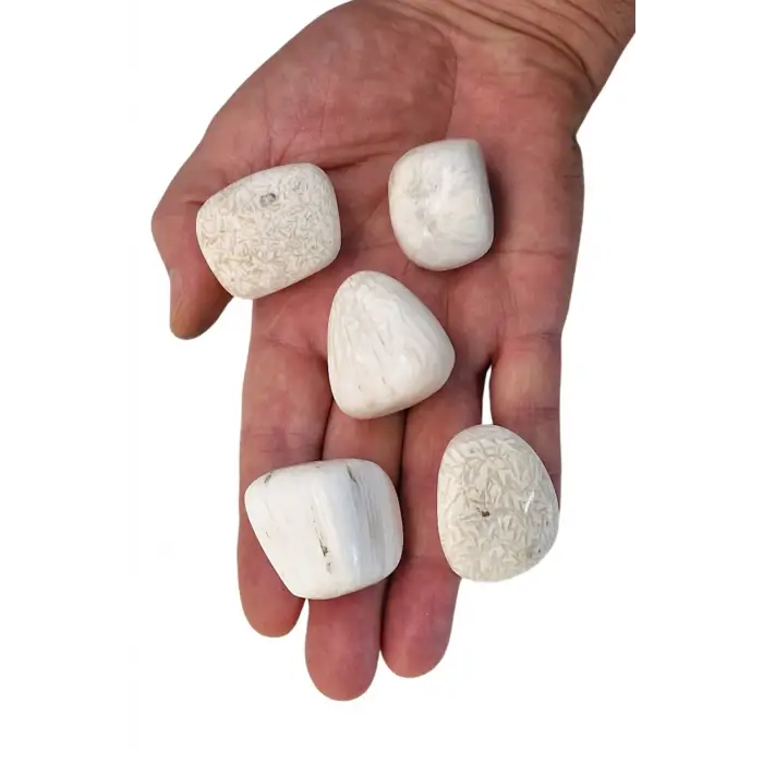 Skolite - Scolecite Tamburlu Parça 119-2