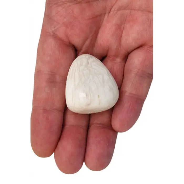 Skolite - Scolecite Tamburlu Parça 119-2