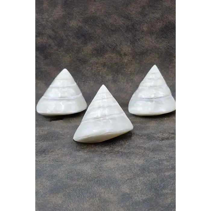 Spiral Silver Shell Deniz Kabuğu 33-SS