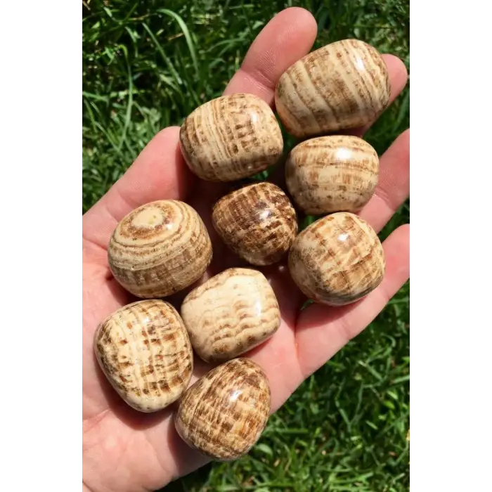 Tamburlu Aragonit Doğal Parça 662