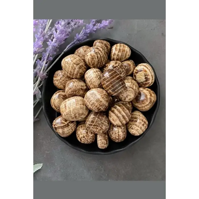 Tamburlu Aragonit Doğal Parça 662