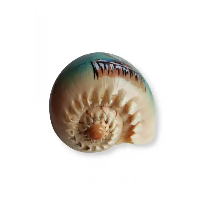 Yağlı Boya Resimli Deniz Kabuğu YB7