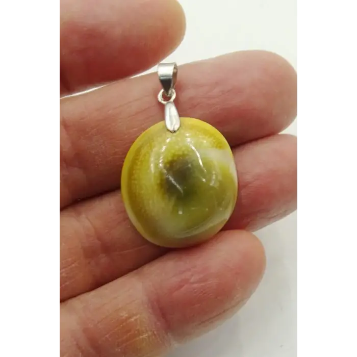 Yılancık Taşı Kolye Ucu Operculum 657