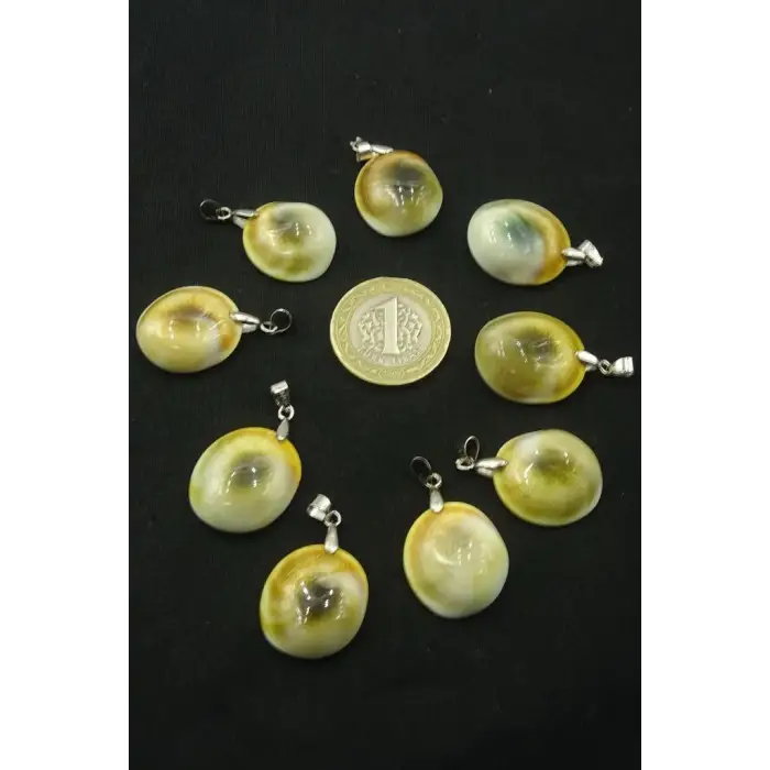 Yılancık Taşı Kolye Ucu Operculum 657