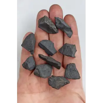 25 Gram Doğal Şungit Taşı Küçük Parçalar - 455